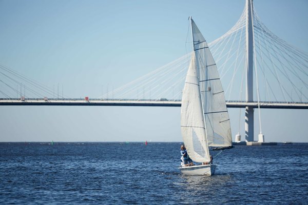 Des sommets de la Haute-Savoie aux saveurs des prairies : Un périple authentique à la découverte des produits d'exception